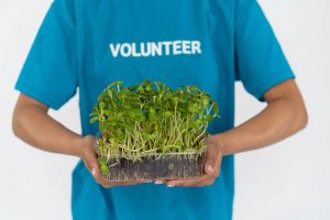 microgreens