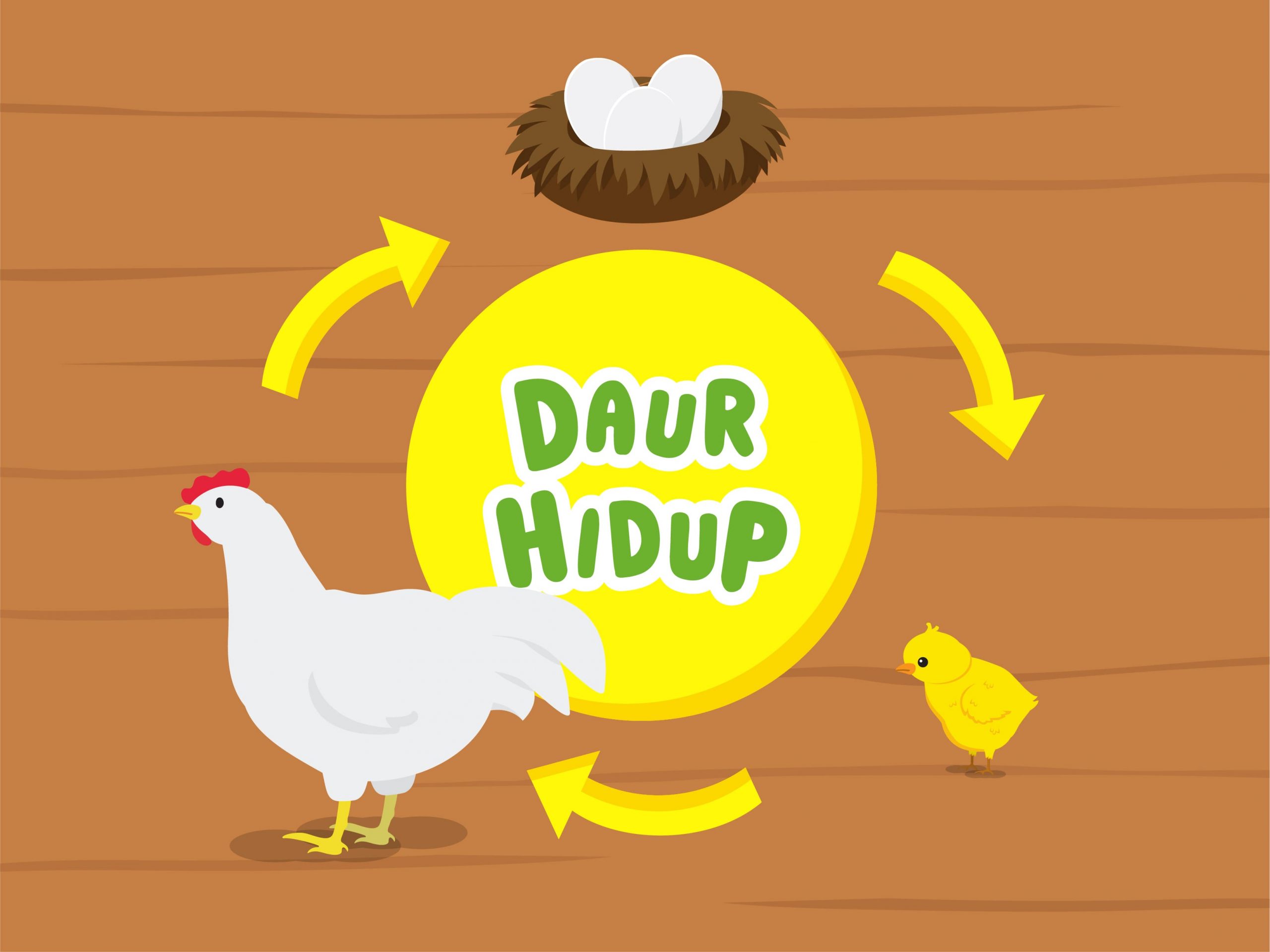 Pengertian Daur Hidup Hewan beserta Contohnya Geniora